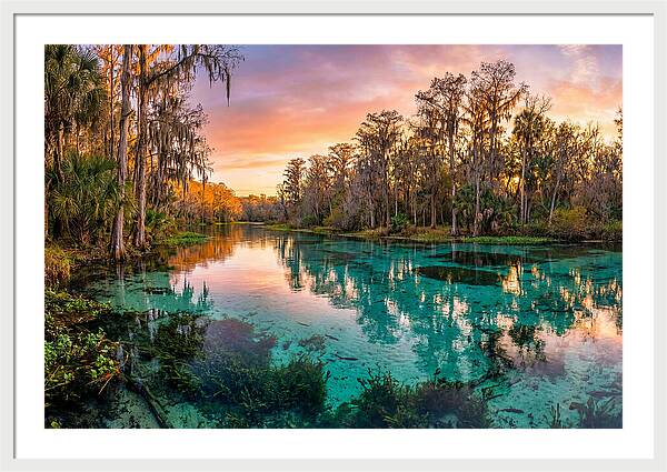 Tranquil Waters Of Rainbow Springs