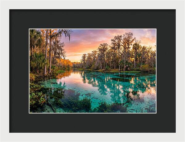 Tranquil Waters Of Rainbow Springs
