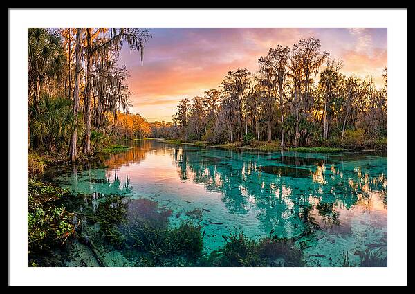 Tranquil Waters Of Rainbow Springs