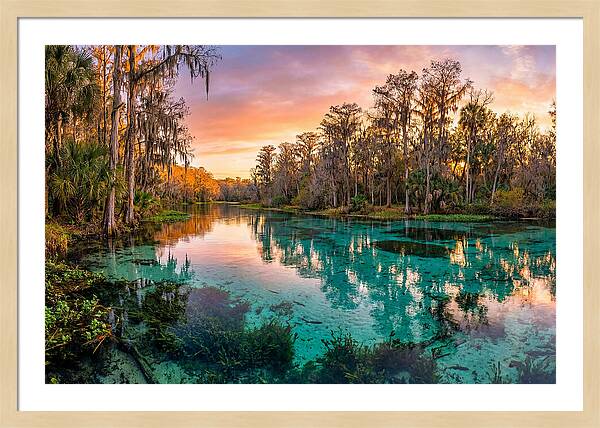 Tranquil Waters Of Rainbow Springs