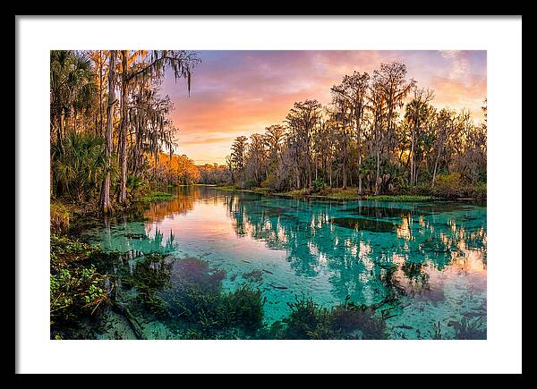 Tranquil Waters Of Rainbow Springs