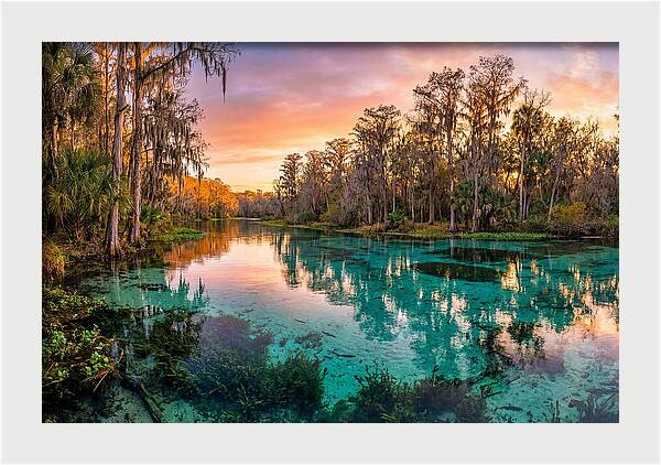 Tranquil Waters Of Rainbow Springs