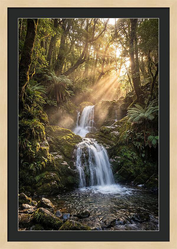 Tranquil Waters Of Swallow Falls