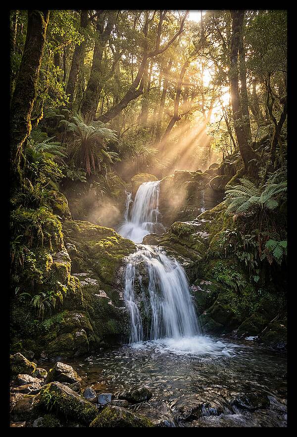 Tranquil Waters Of Swallow Falls