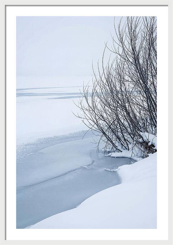 Tranquil Waterscape Reflection