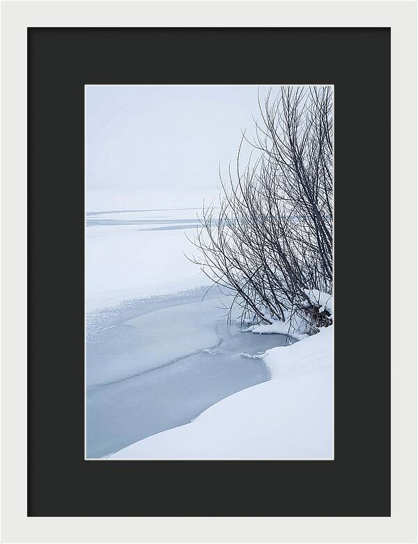 Tranquil Waterscape Reflection
