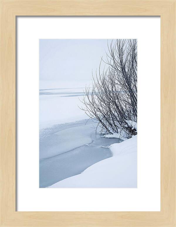 Tranquil Waterscape Reflection