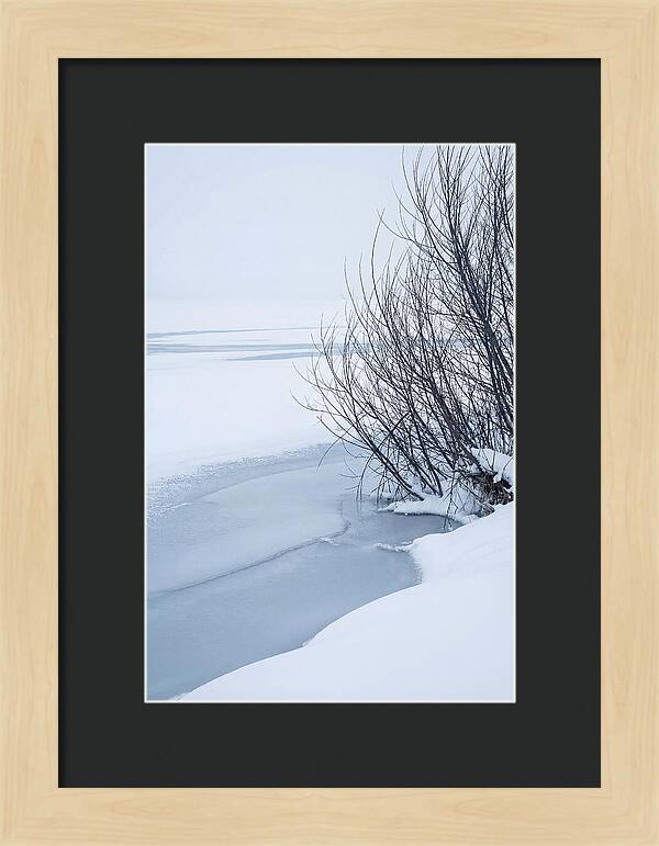 Tranquil Waterscape Reflection