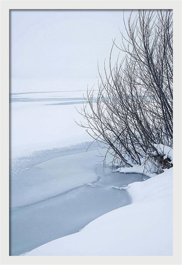 Tranquil Waterscape Reflection