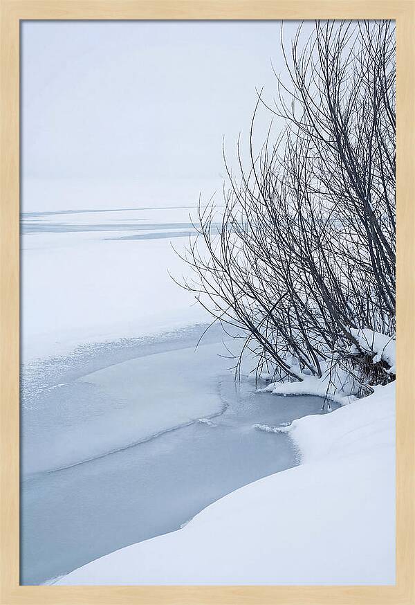Tranquil Waterscape Reflection