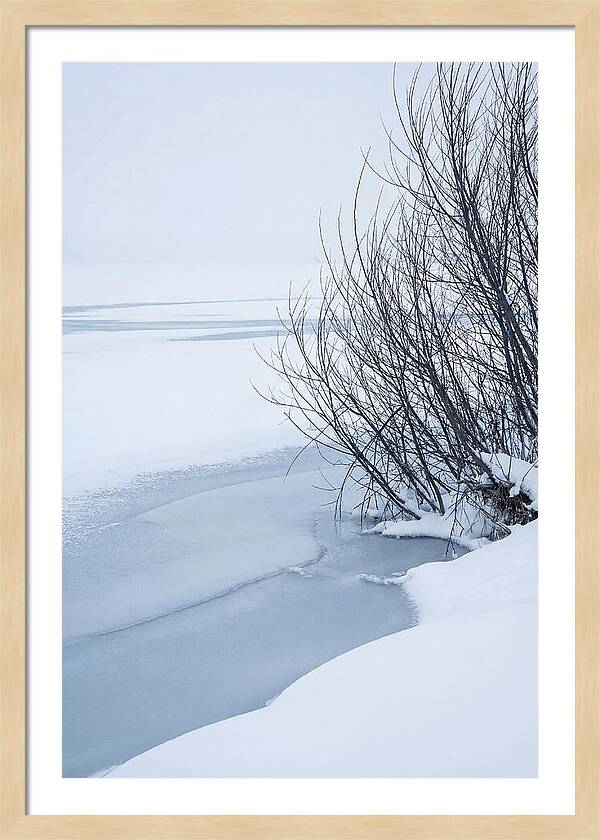 Tranquil Waterscape Reflection