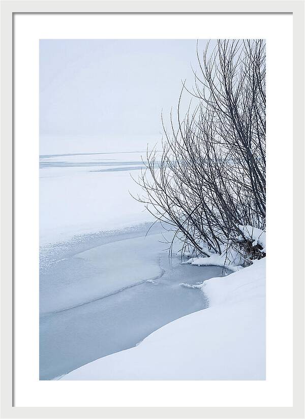 Tranquil Waterscape Reflection