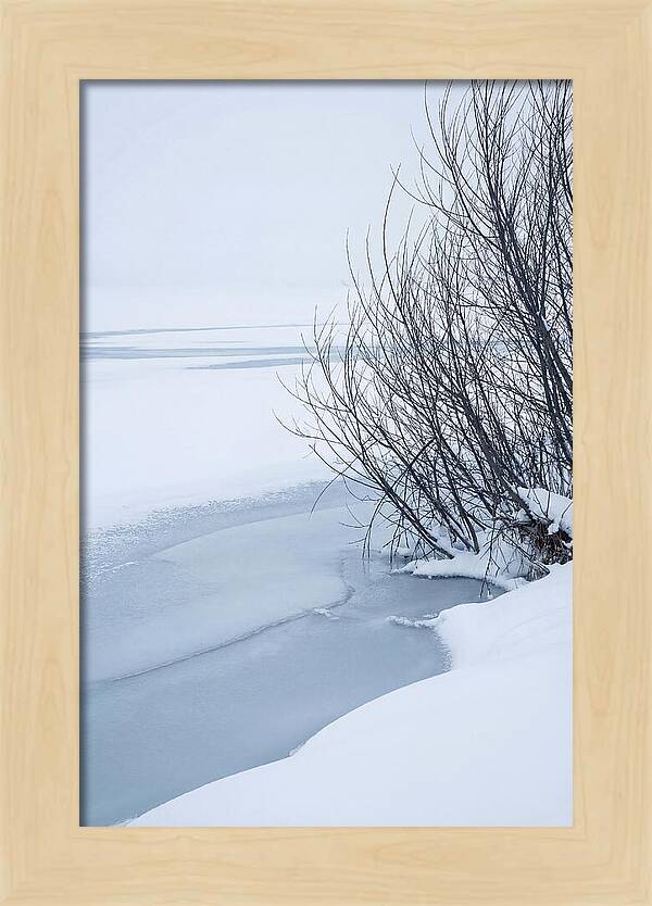 Tranquil Waterscape Reflection