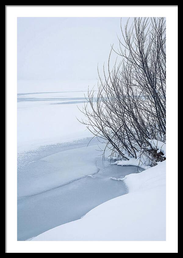 Tranquil Waterscape Reflection