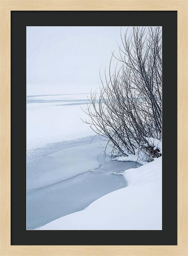 Tranquil Waterscape Reflection