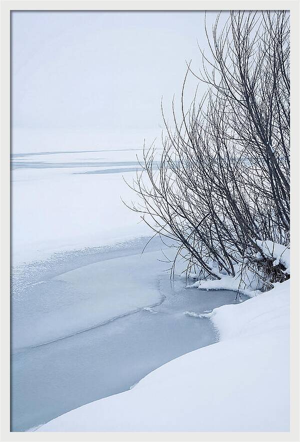 Tranquil Waterscape Reflection