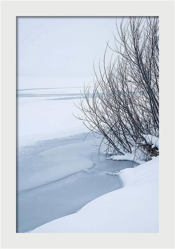 Tranquil Waterscape Reflection
