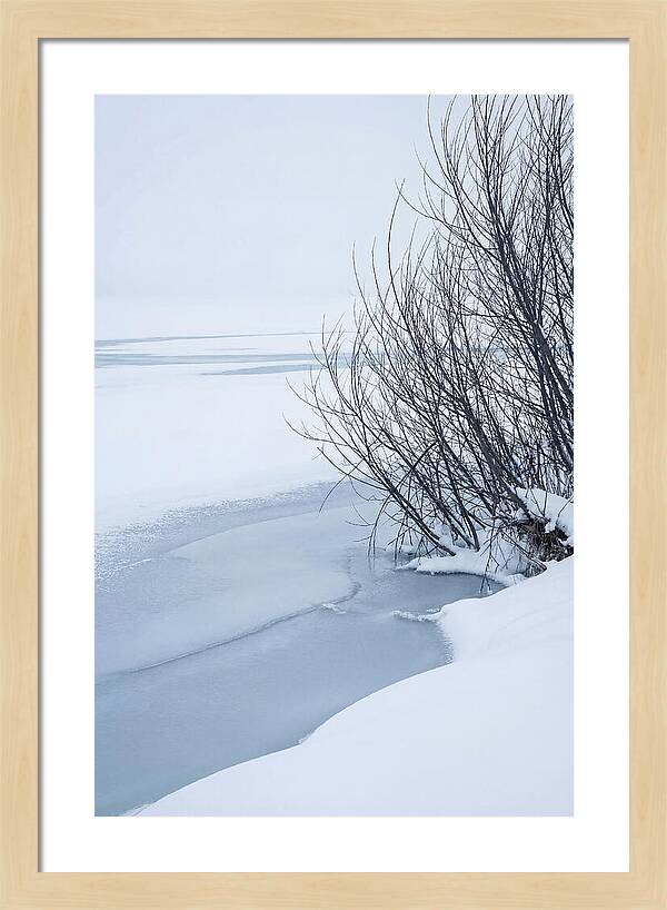 Tranquil Waterscape Reflection