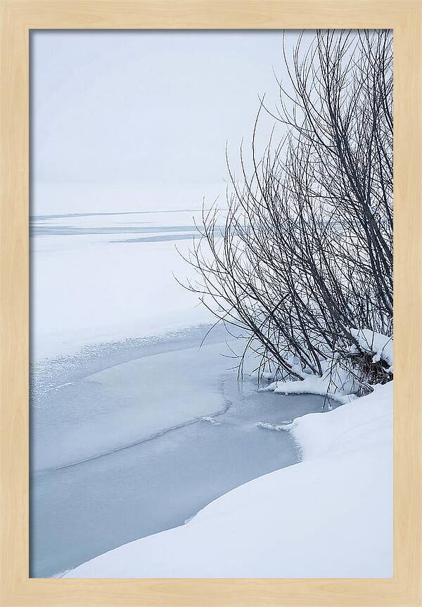 Tranquil Waterscape Reflection
