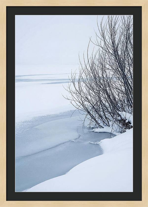 Tranquil Waterscape Reflection