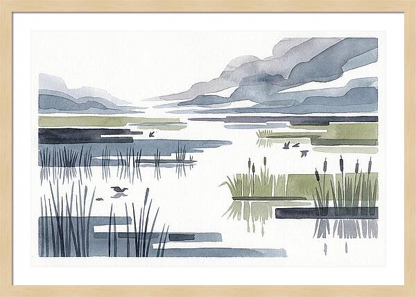 Tranquil Wetlands Reflections