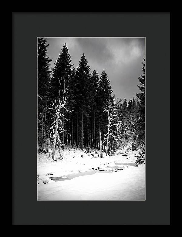 Tranquil Winter Landscape In The Black Forest