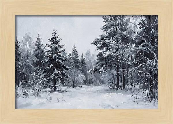 Tranquil Winter Wonderland