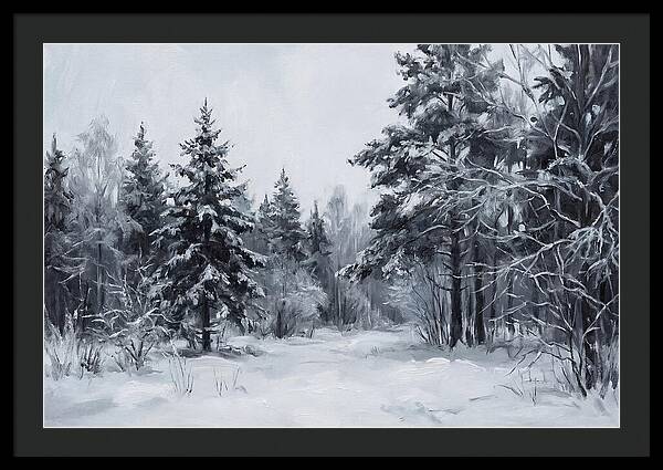 Tranquil Winter Wonderland