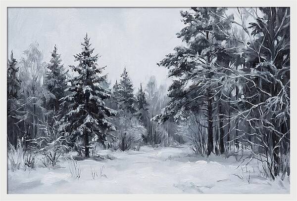 Tranquil Winter Wonderland