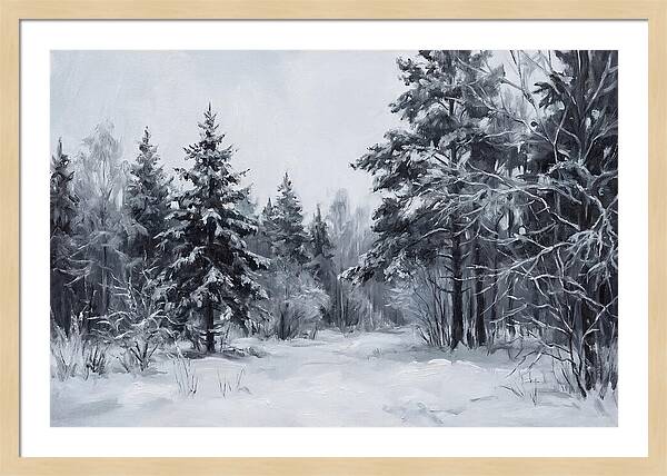 Tranquil Winter Wonderland