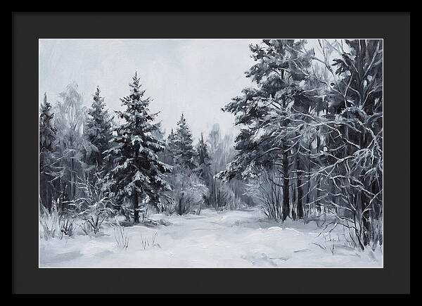 Tranquil Winter Wonderland
