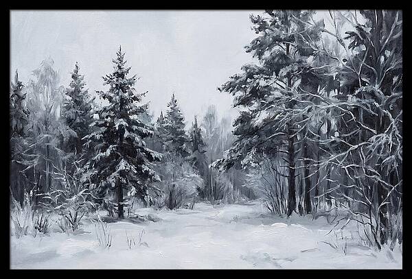 Tranquil Winter Wonderland
