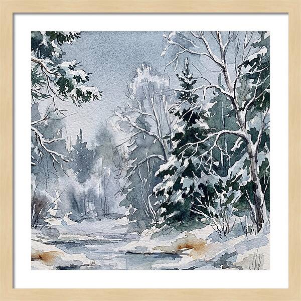 Tranquil Winter Woodland