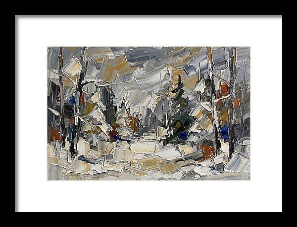 Tranquil Winter Woods