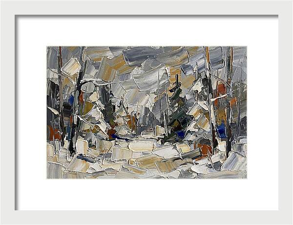 Tranquil Winter Woods