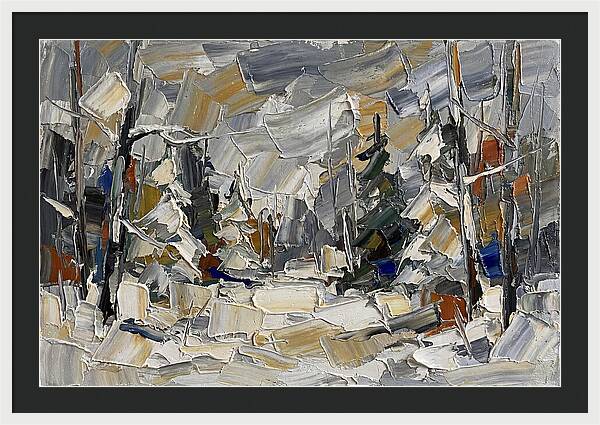 Tranquil Winter Woods