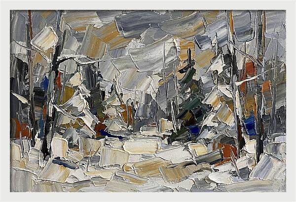 Tranquil Winter Woods