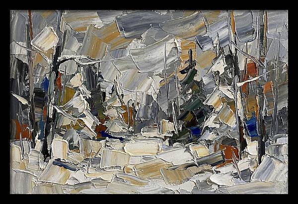 Tranquil Winter Woods