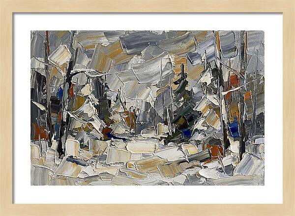 Tranquil Winter Woods