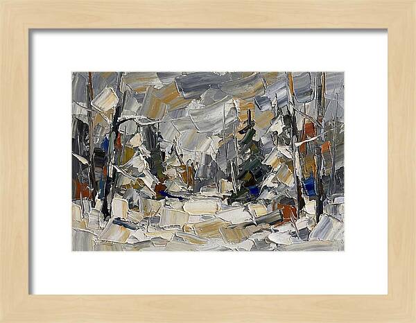 Tranquil Winter Woods