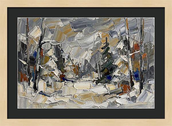 Tranquil Winter Woods