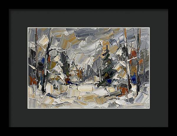 Tranquil Winter Woods