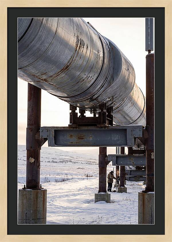 Trans Alaska Pipeline Detail