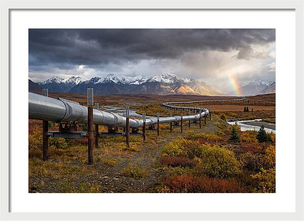 Trans Alaska Pipeline Serenity