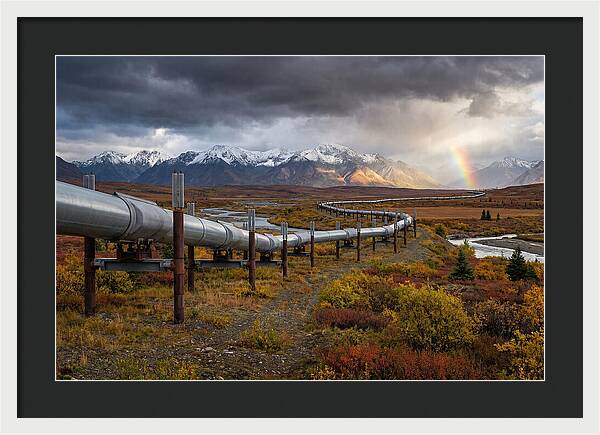 Trans Alaska Pipeline Serenity