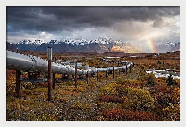Trans Alaska Pipeline Serenity