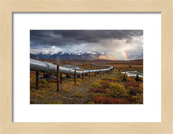 Trans Alaska Pipeline Serenity
