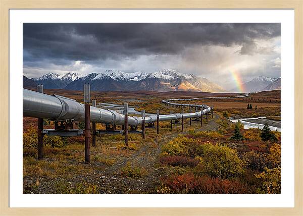 Trans Alaska Pipeline Serenity