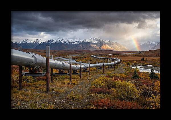 Trans Alaska Pipeline Serenity