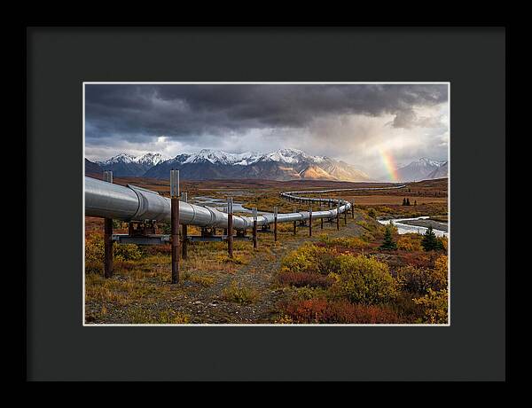 Trans Alaska Pipeline Serenity